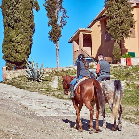 Az.Agr. Il Cavalleggero Villa Campiglia d'Orcia ภายนอก รูปภาพ