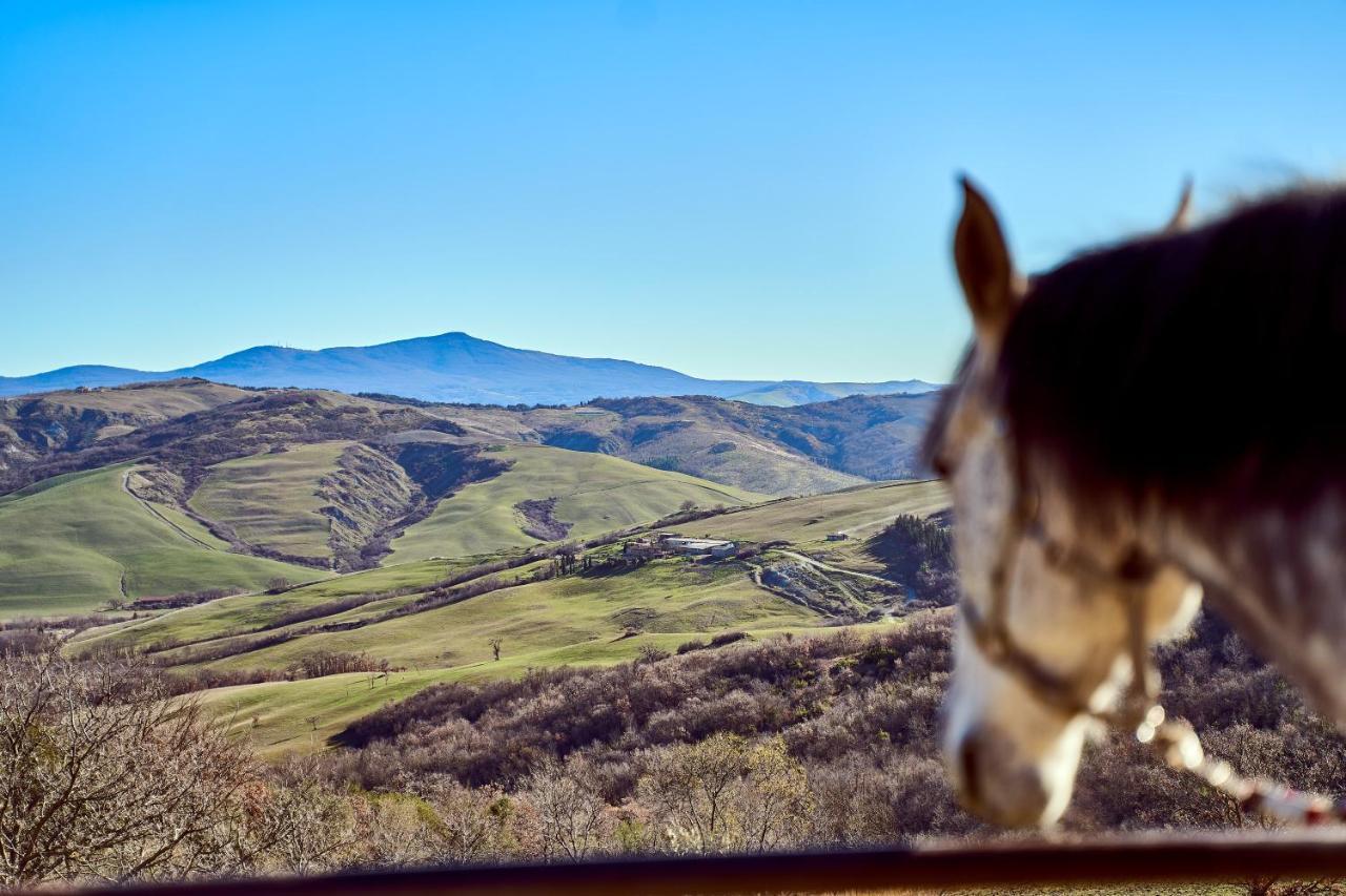 Az.Agr. Il Cavalleggero Villa Campiglia d'Orcia ภายนอก รูปภาพ