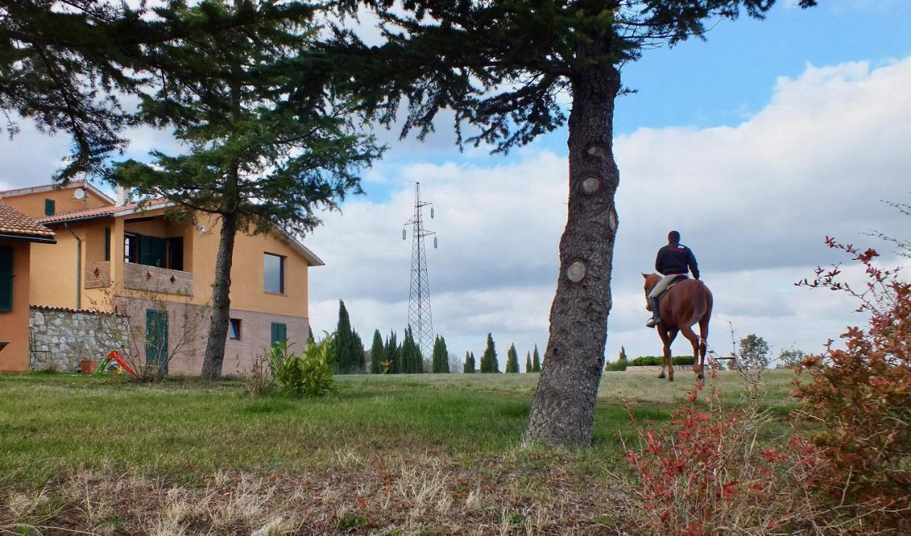 Az.Agr. Il Cavalleggero Villa Campiglia d'Orcia ภายนอก รูปภาพ