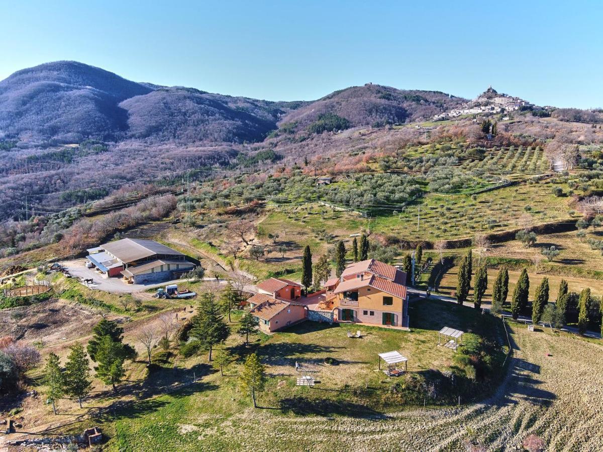 Az.Agr. Il Cavalleggero Villa Campiglia d'Orcia ภายนอก รูปภาพ