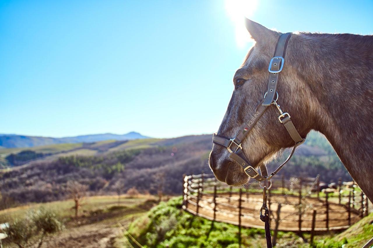 Az.Agr. Il Cavalleggero Villa Campiglia d'Orcia ภายนอก รูปภาพ